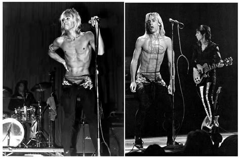 dior iggy pop|the stooges iggy pop.